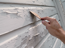 Peeling Lead Paint